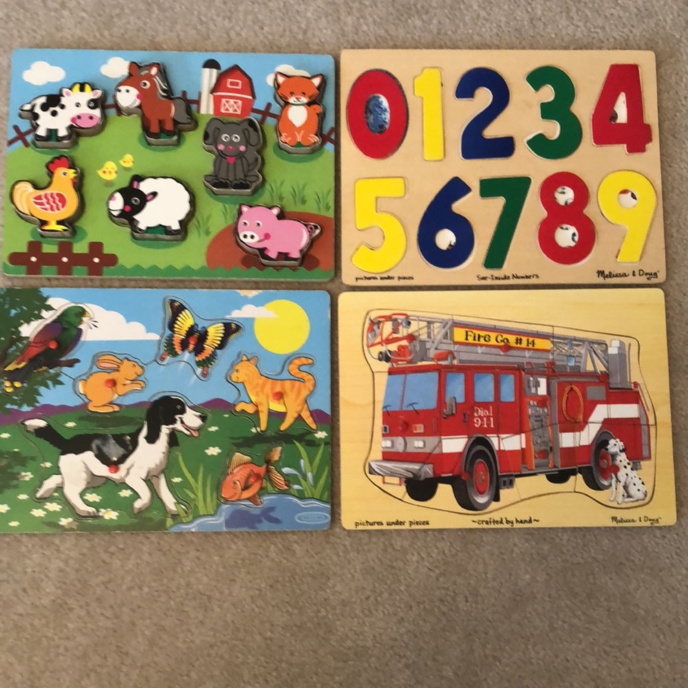 Wooden Puzzle Pack